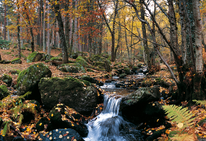 Sierra de la Cabrera