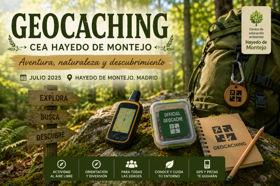 assets/uploads/5256cef40cb029c70afc2934675739ec_Captura_de_pantalla_2026-07-09_195927.png