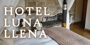 https://turismosierramadrid.com/assets/uploads/59d681be2d829f02231f9bc72381278f_Banner_móvil_Luna_Llena.jpg