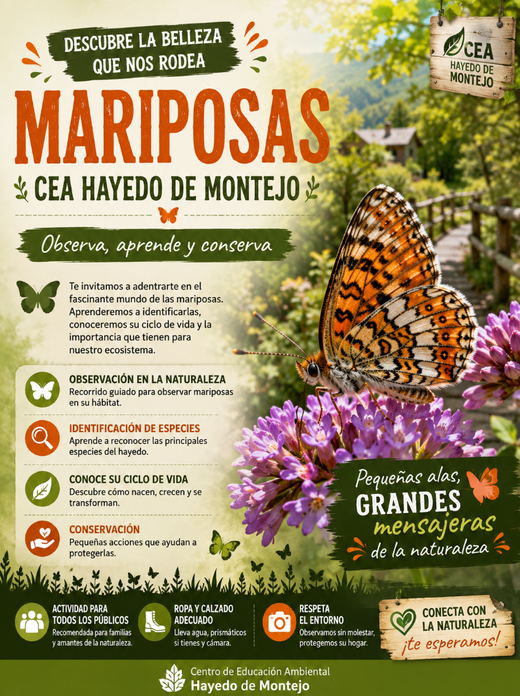 assets/uploads/9cf5bdf4a1bc2737ec1a964cced49ada_Captura_de_pantalla_2026-07-09_204710.png